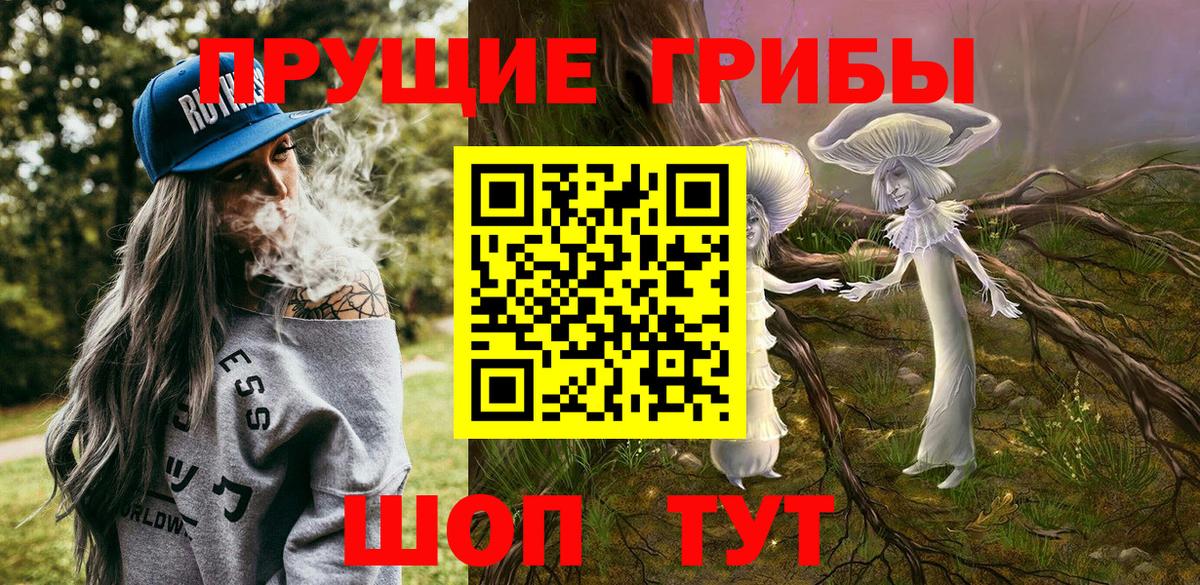 Советская Гавань  Галлюциногенные грибы MAGIC MUSHROOMS  как найти   Вход с VPN 